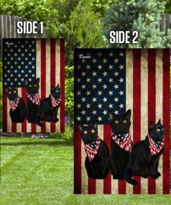 black cats american flag 6769