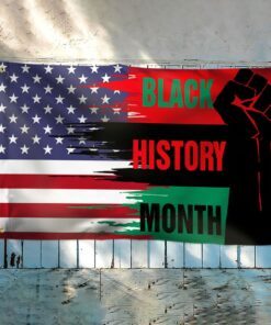 black history month. african american flag thh3742gfv2 2284