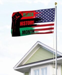 black history month. african american flag thh3742gfv2 4656