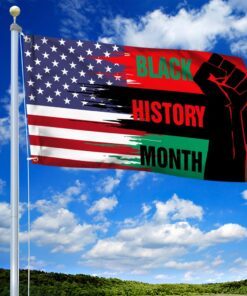 black history month. african american flag thh3742gfv2 8540