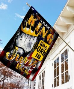 black king was born in june africa flag 2019