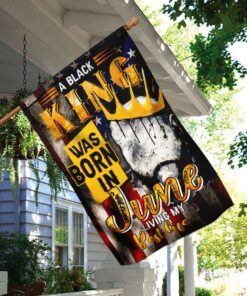 black king was born in june africa flag 2023