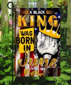 black king was born in june africa flag 3843