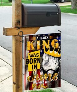 black king was born in june africa flag 5124