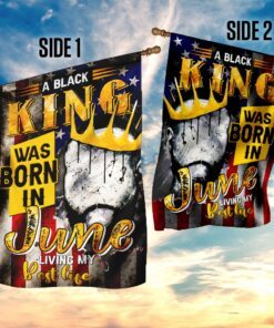 black king was born in june africa flag 6571