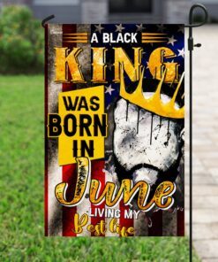black king was born in june africa flag 8244