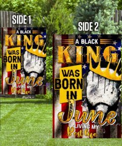 black king was born in june africa flag 8930
