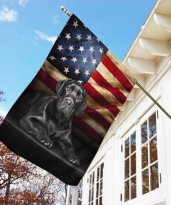 black labrador american flag 8843