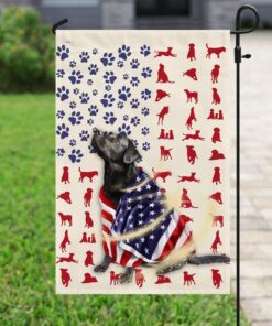 black labrador dog american flag 2227