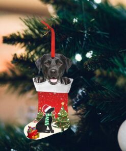 black labrador retriever christmas ornament, lab in stocking ornament qnn605o 2660