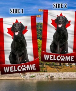 black labrador retriever dog welcome canadian flag tqn1382f 4705