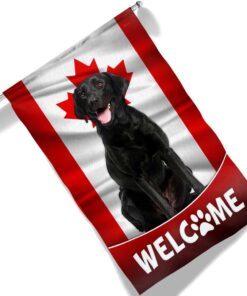 black labrador retriever dog welcome canadian flag tqn1382f 4771
