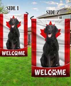 black labrador retriever dog welcome canadian flag tqn1382f 5026