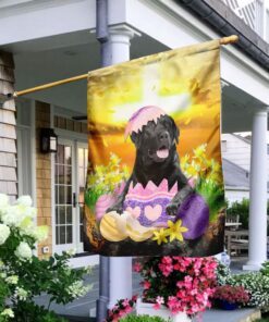 black labrador retriever is ready for easter flag 4769