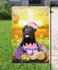 black labrador retriever is ready for easter flag 6511