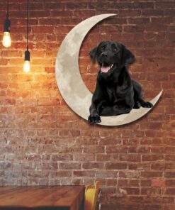 Black Labrador Retriever On The Moon Christmas Hanging Metal sign QNK1012MSv1