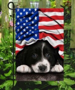border collie. american patriot flag 2202