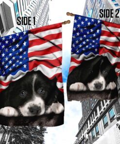 border collie. american patriot flag 6815