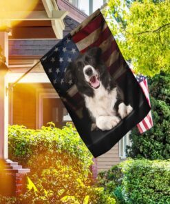 border collie american flag 2544