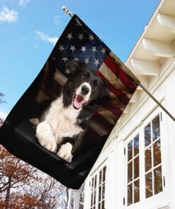 border collie american flag 7580