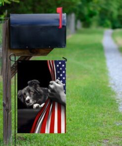 border collie american us flag 1376