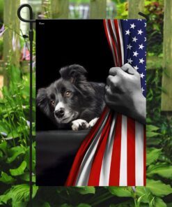 border collie american us flag 1842