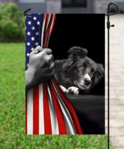 border collie american us flag 6000