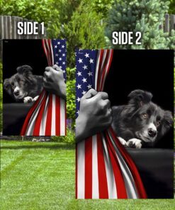 border collie american us flag 6006