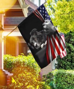 border collie american us flag 7091