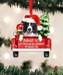 Border Collie Christmas Ornament, Life Would Be Boring Without Me QNN594Ov4
