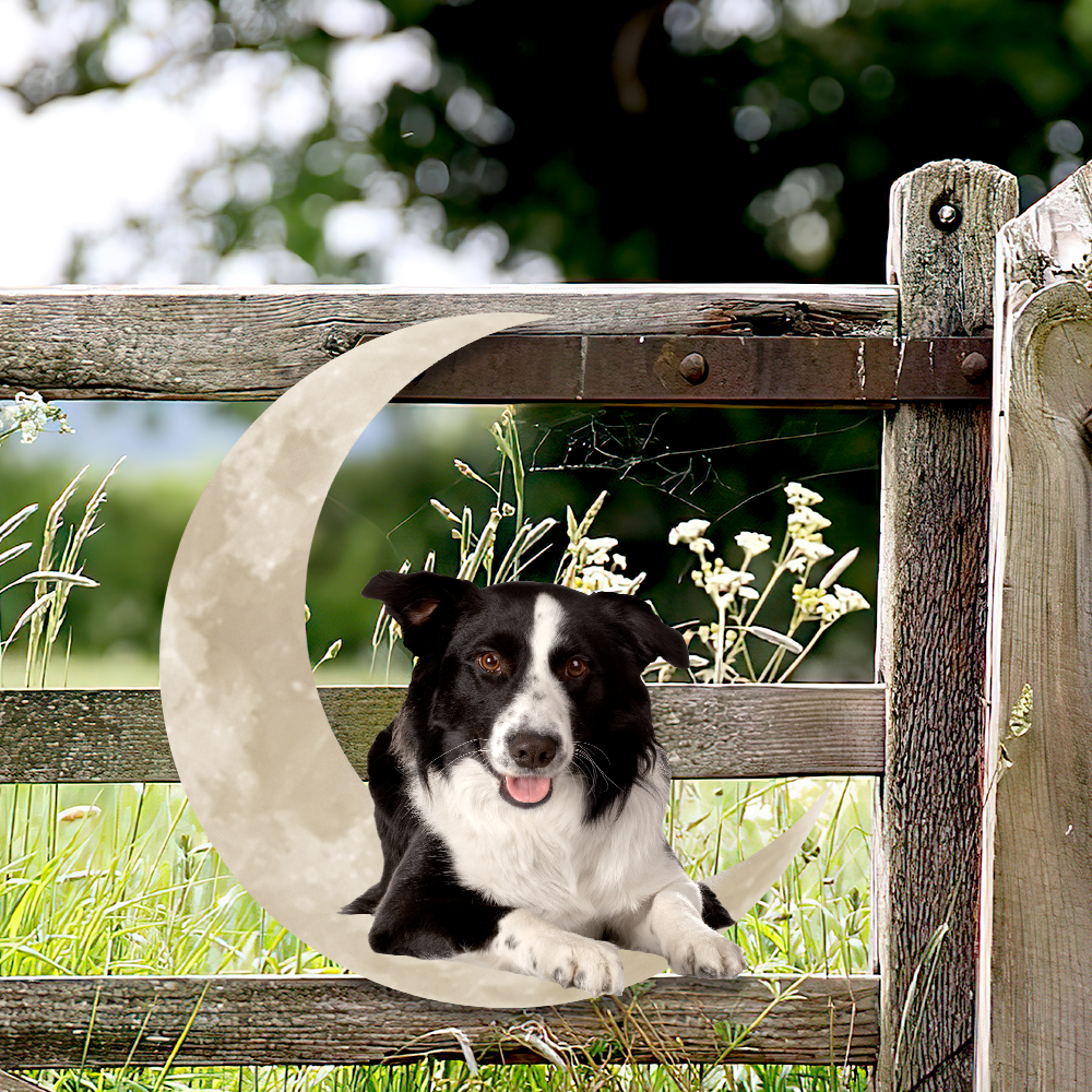 Border Collie On The Moon Hanging Metal sign QNK1012MSv3 - Image 4