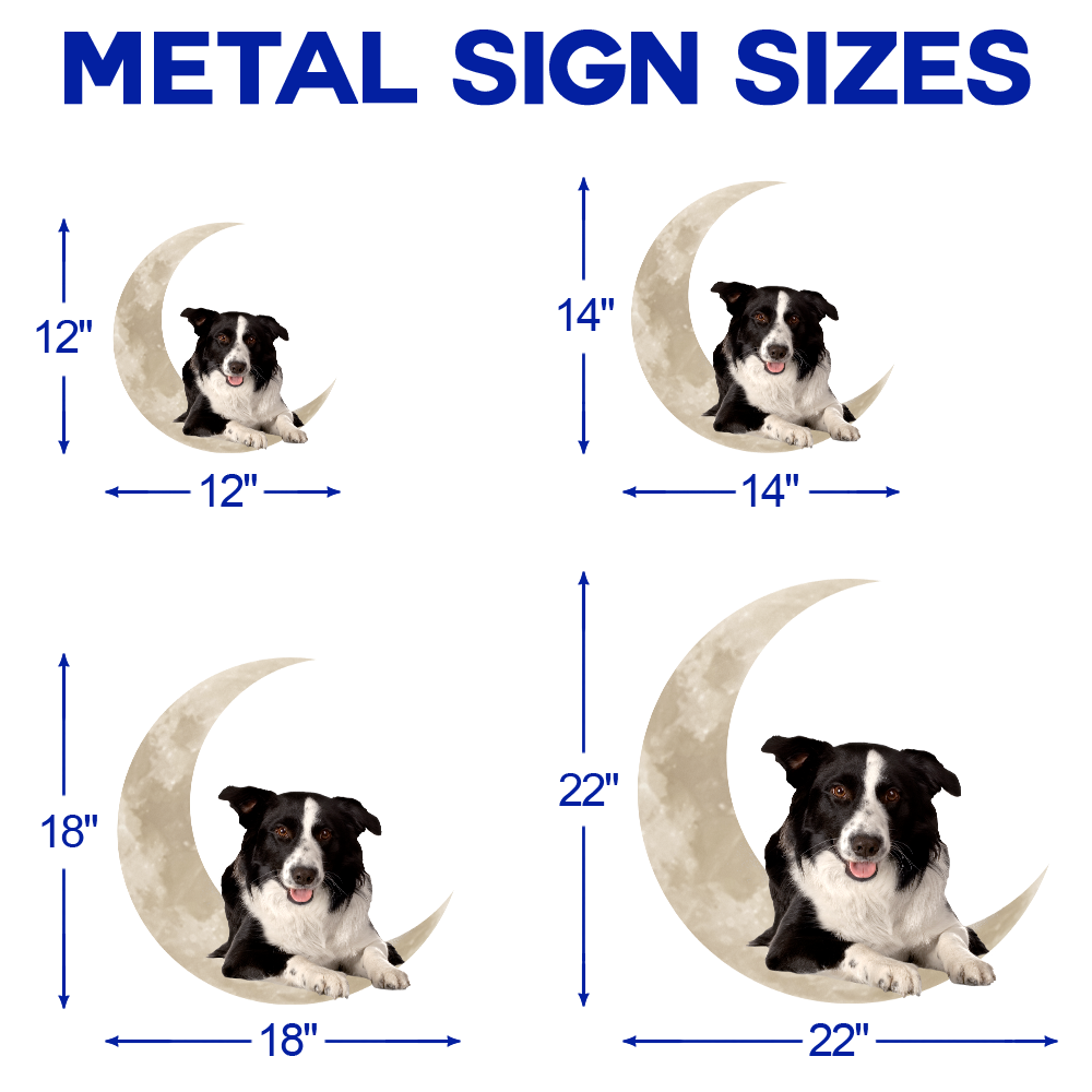 Border Collie On The Moon Hanging Metal sign QNK1012MSv3 - Image 5