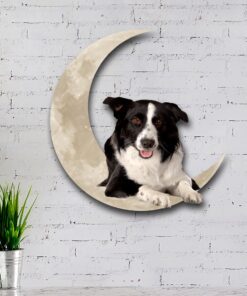 border collie on the moon hanging metal sign qnk1012msv3 8417