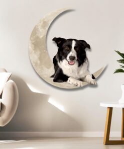 border collie on the moon hanging metal sign qnk1012msv3 8849