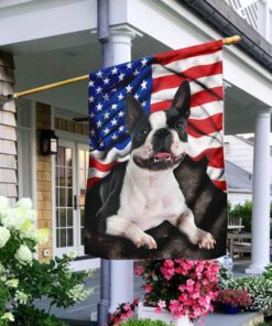 Boston Terrier. American Patriot Flag