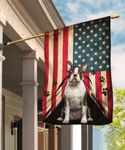 Boston Terrier American Flag