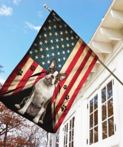 boston terrier american flag 6038