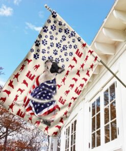 boston terrier dog american flag 5883