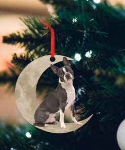 Boston Terrier Dog Christmas ornament, Boston Terrier  On The Moon QNK879Ov16