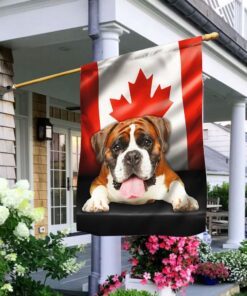 Boxer Dog Canadian Flag QNN557Fv16