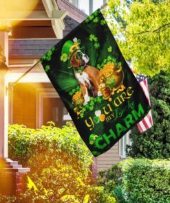 Boxer You Are My Lucky Charm Irish Flag
