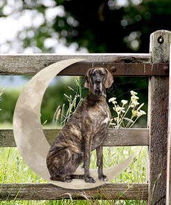 brindle great dane dog and moon hanging metal sign qnk879msv34a 5825