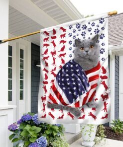 British Shorthair Cat American Flag DDH2611Fv39