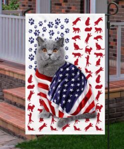 british shorthair cat american flag ddh2611fv39 5980