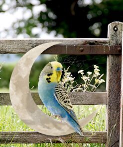 budgie bird on the moon hanging metal sign qnk1005msv5 2001