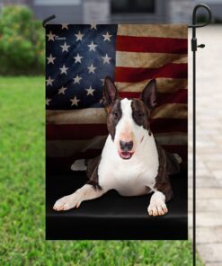 bull terrier american flag 7081