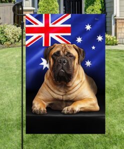 bullmastiff dog on australian flag qnn576fv4 4619
