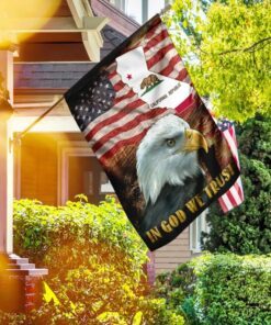 California State Patriotic American Independence Day Flag