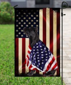 cane corso american patriot flag anl40fv53 6602