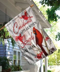 cardinals appear when angels are near flag 1029
